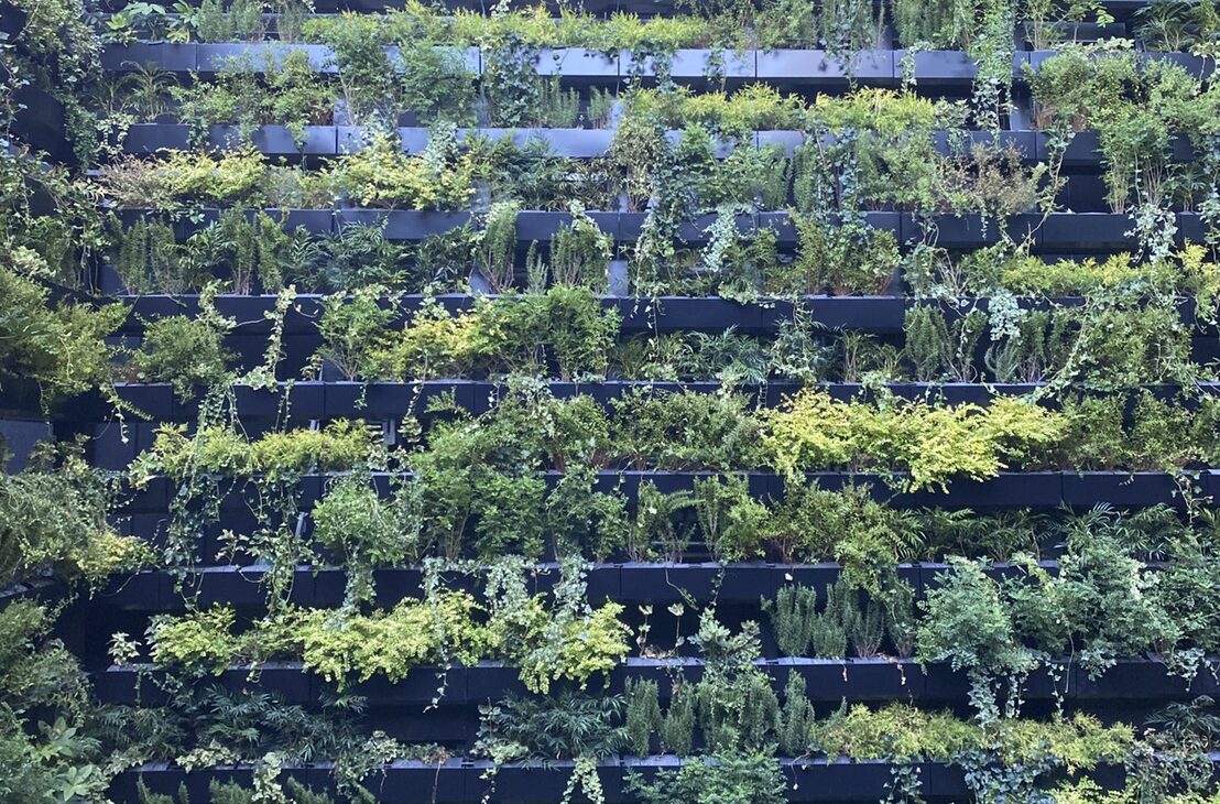 植栽（緑化メンテナンス）