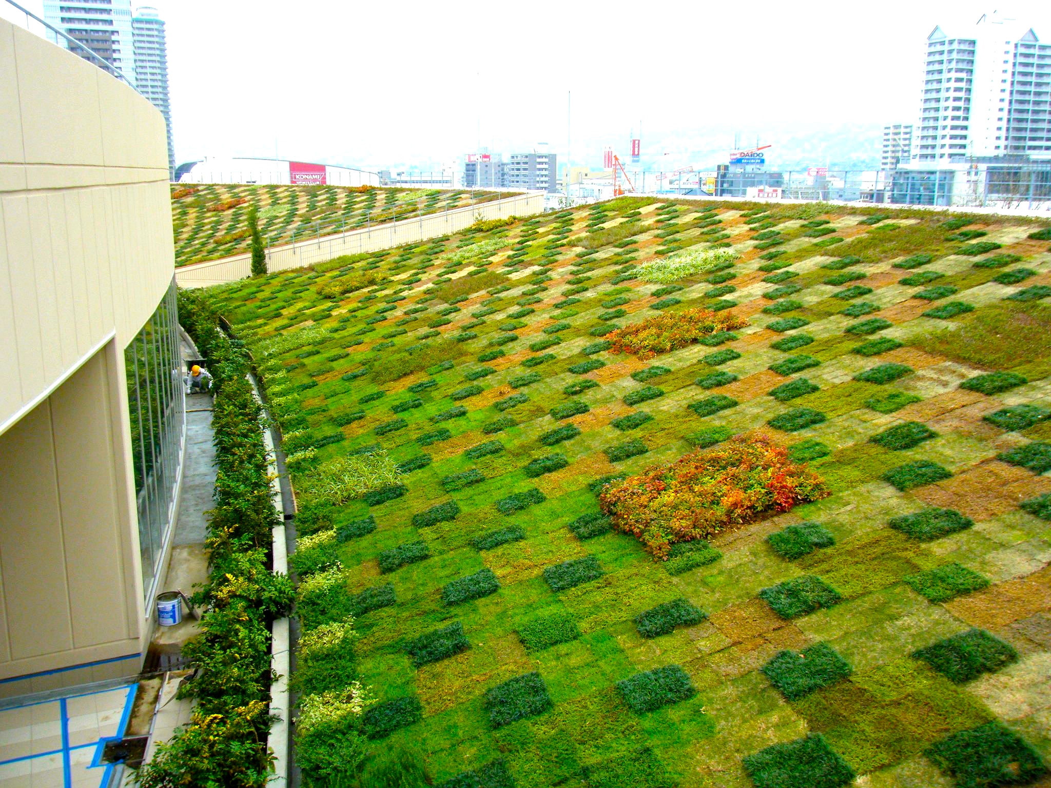 屋上緑化