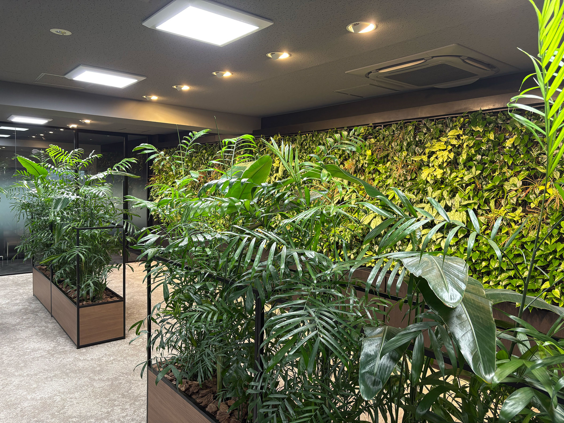 室内空間緑化